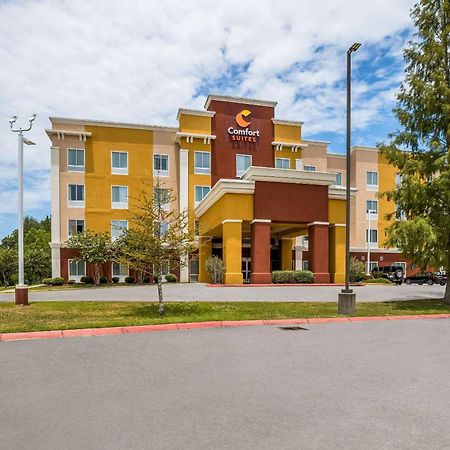 Comfort Suites Denham Springs Extérieur photo